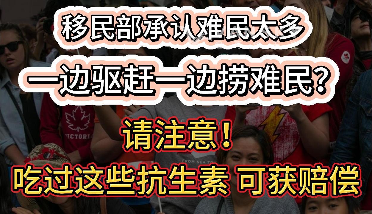 移民部长承认难民太多！严查LMIA！留学生通道也改；请注意！在加拿大吃过这些抗生素 可获赔偿；海外微信突然被封！华人千万别干这件事 #加国难民 #难民接收 #抗生素协议 #加国移民收紧 #加国申请庇护