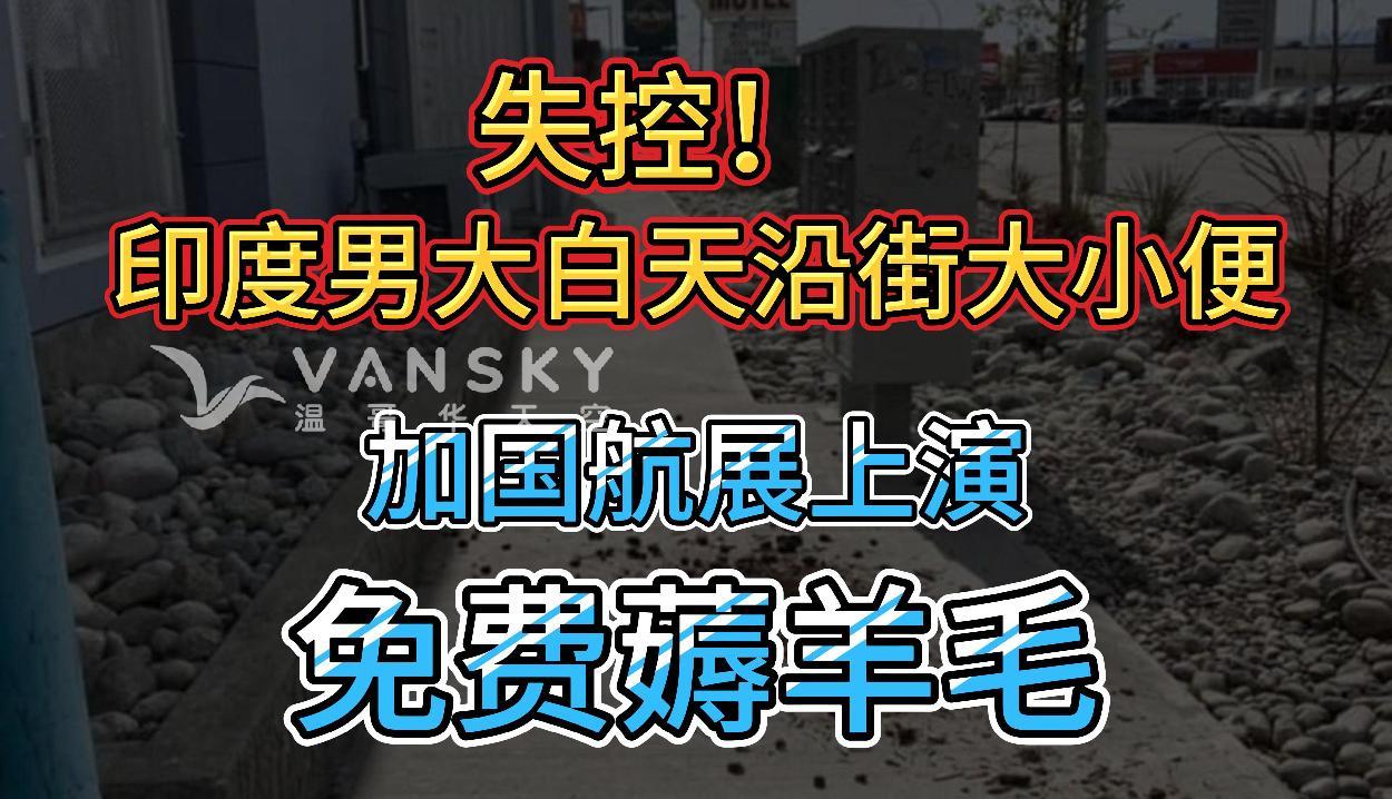 彻底失控！印度男大白天在Plaza沿街大小便；加拿大最大航展这周末上演！快来免费“薅羊毛”；华人疯抢便宜玉米！现场如战场！超市发中文警告!