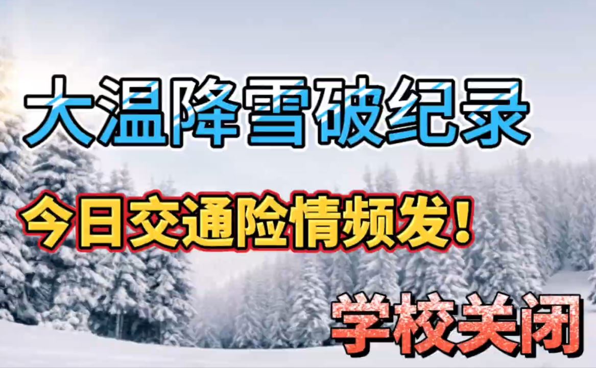 通用的占位符缩略图