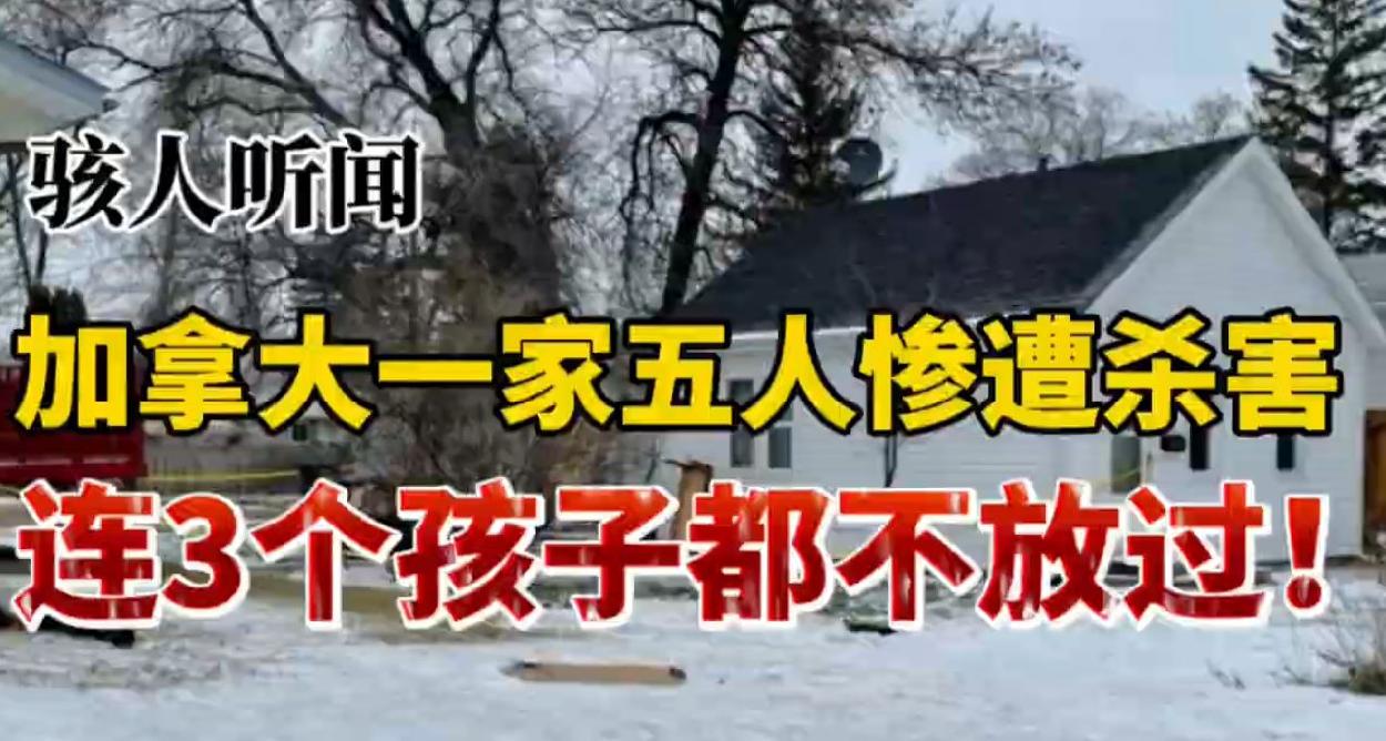 通用的占位符缩略图