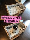 狗狗实木床