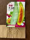 羊角蜜甜瓜种子，小苗出售