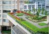 Metrotown中心高层公寓单房寻求男生拎包入住