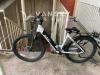 卖电助力自行車，八成新，$500