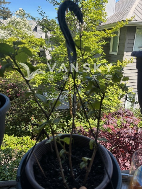 250503170939_IMG_6380.jpg