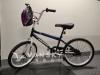 自行车和头盔： 40 加元  (Bike and Helmet, $40)