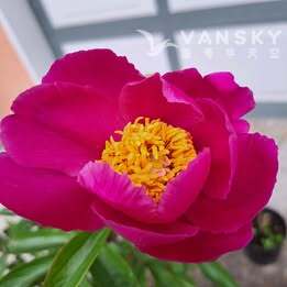 260506154858_P7.jpg
