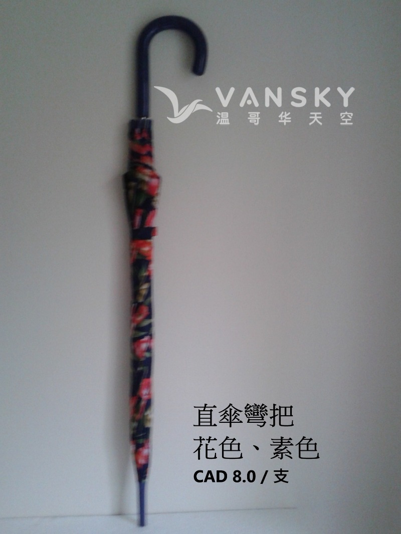 260512074203_curved.jpg