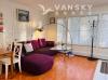vancouver mount pleasant 两房一厅