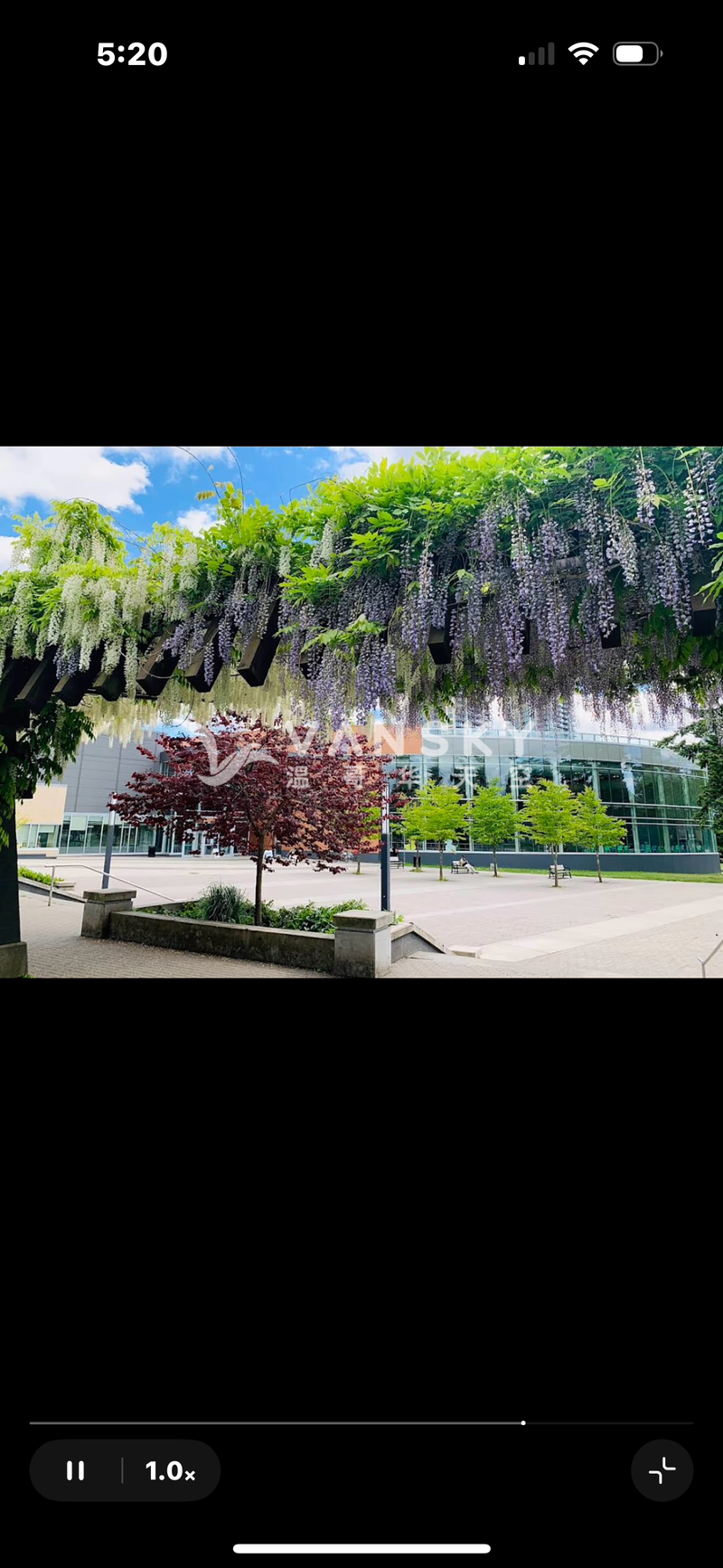 260806180253_IMG_9905.png