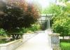 UBC Wesbrook Village核心区域两居室公寓出租