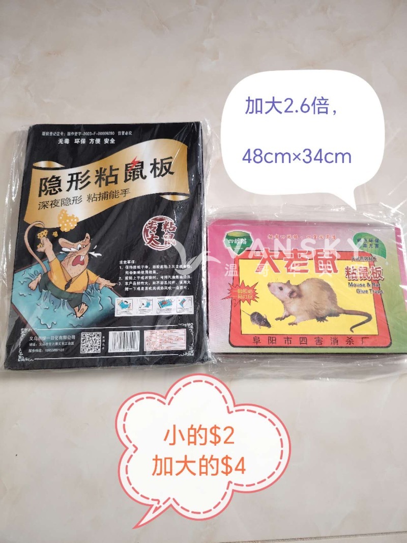 260819151806_828.jpeg