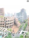 downtown 图书馆对面主卧找一个女室友