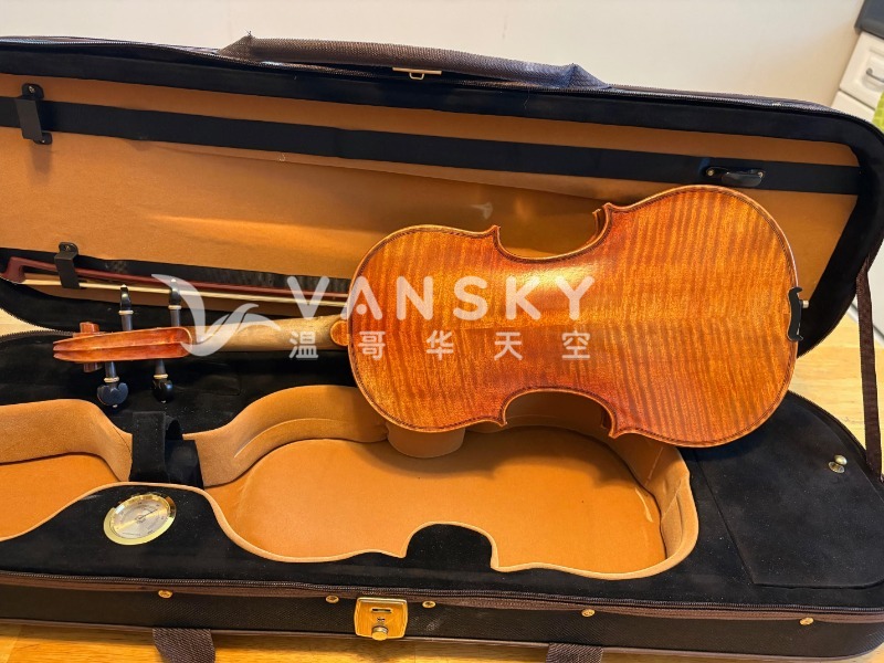 260517100933_NewViolin_2.jpg