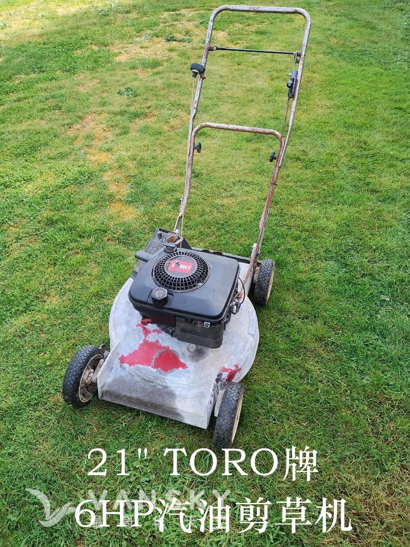 260514162831_IMG_20260430_101341278_副本.jpg